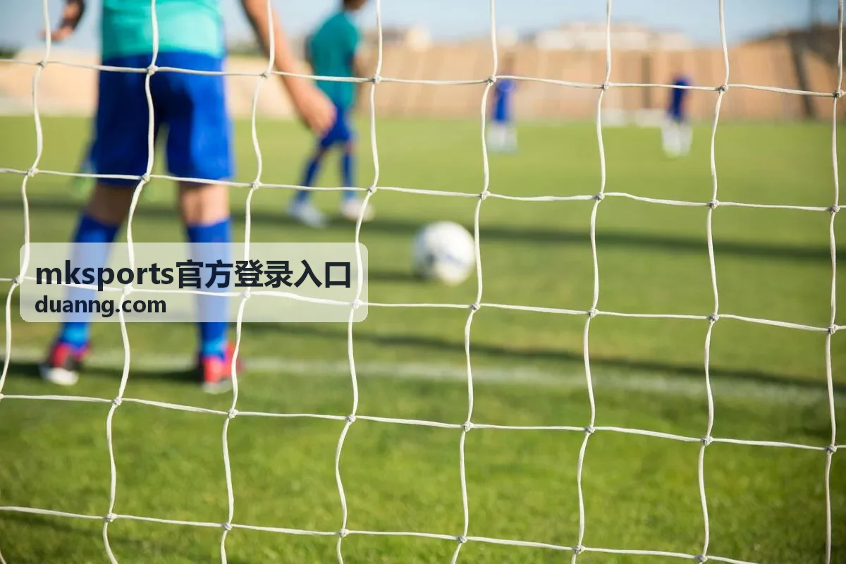 mksports官方登录入口地址核对页面示意