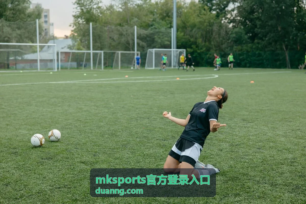 mksports官方登录入口浏览器安全提示解读封面