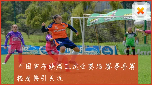 六国宣布缺席亚运会赛场 赛事参赛格局再引关注