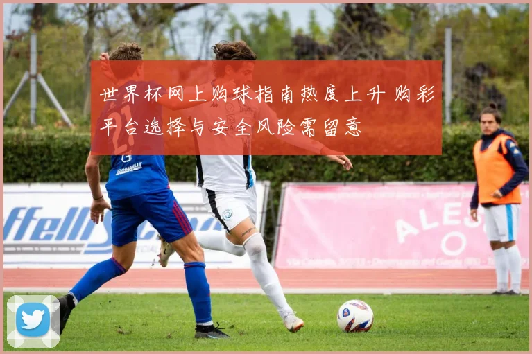世界杯网上购球指南热度上升 购彩平台选择与安全风险需留意